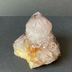 Cactus Quartz Crystal/Amethyst Spirit Quartz
